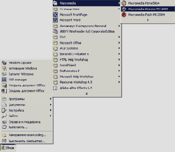  Macromedia   Director MX