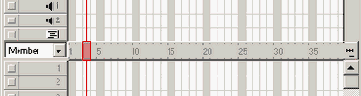  Playhead and Frame Numbers