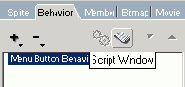 Script Window   Behavior